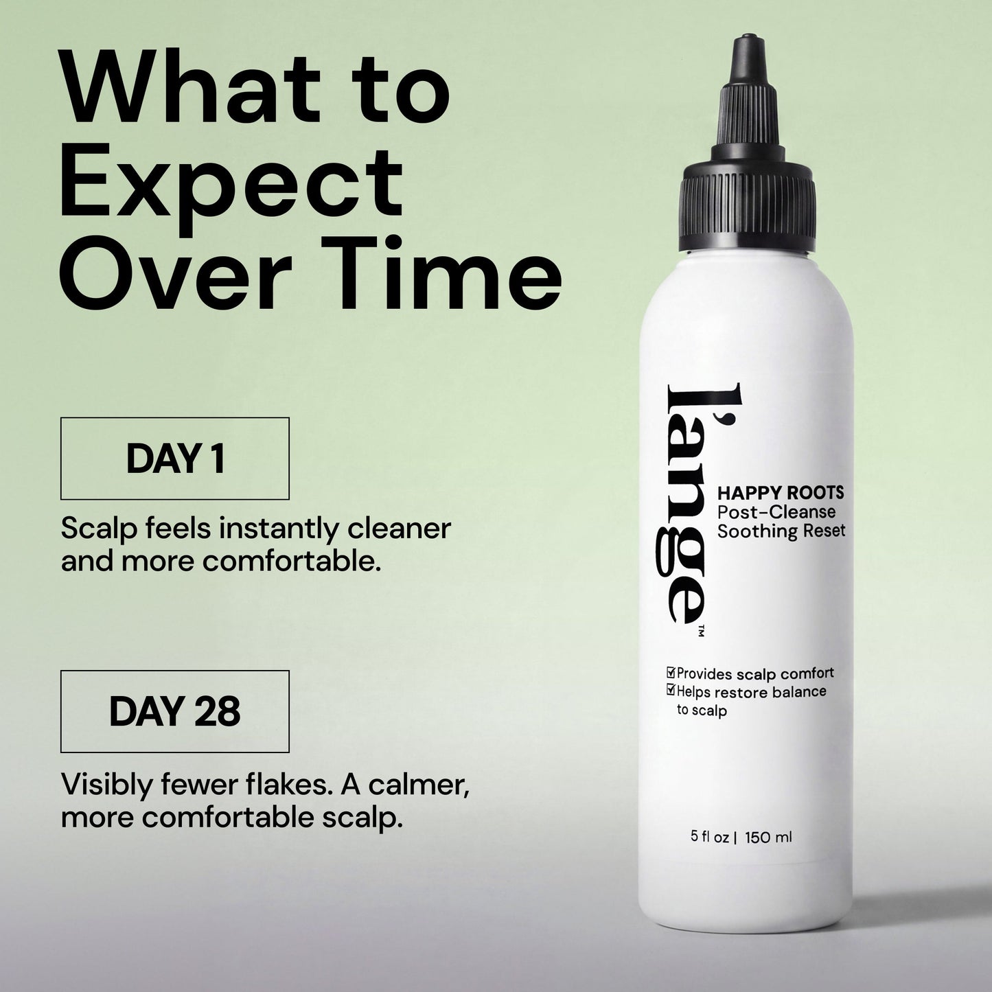 Clean & Calm Scalp Duo